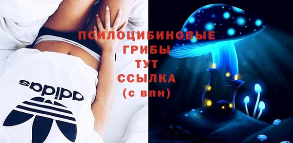 метадон Гусиноозёрск